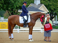 Shelly Reichart rides Beall Spring Savanna to Reserve Champion at the 2010 USEF Young Horse Central States Dressage Selection Trials for the FEI World Breeding Championships!